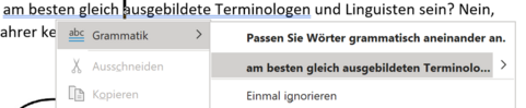 Terminologiemanagement-Systeme