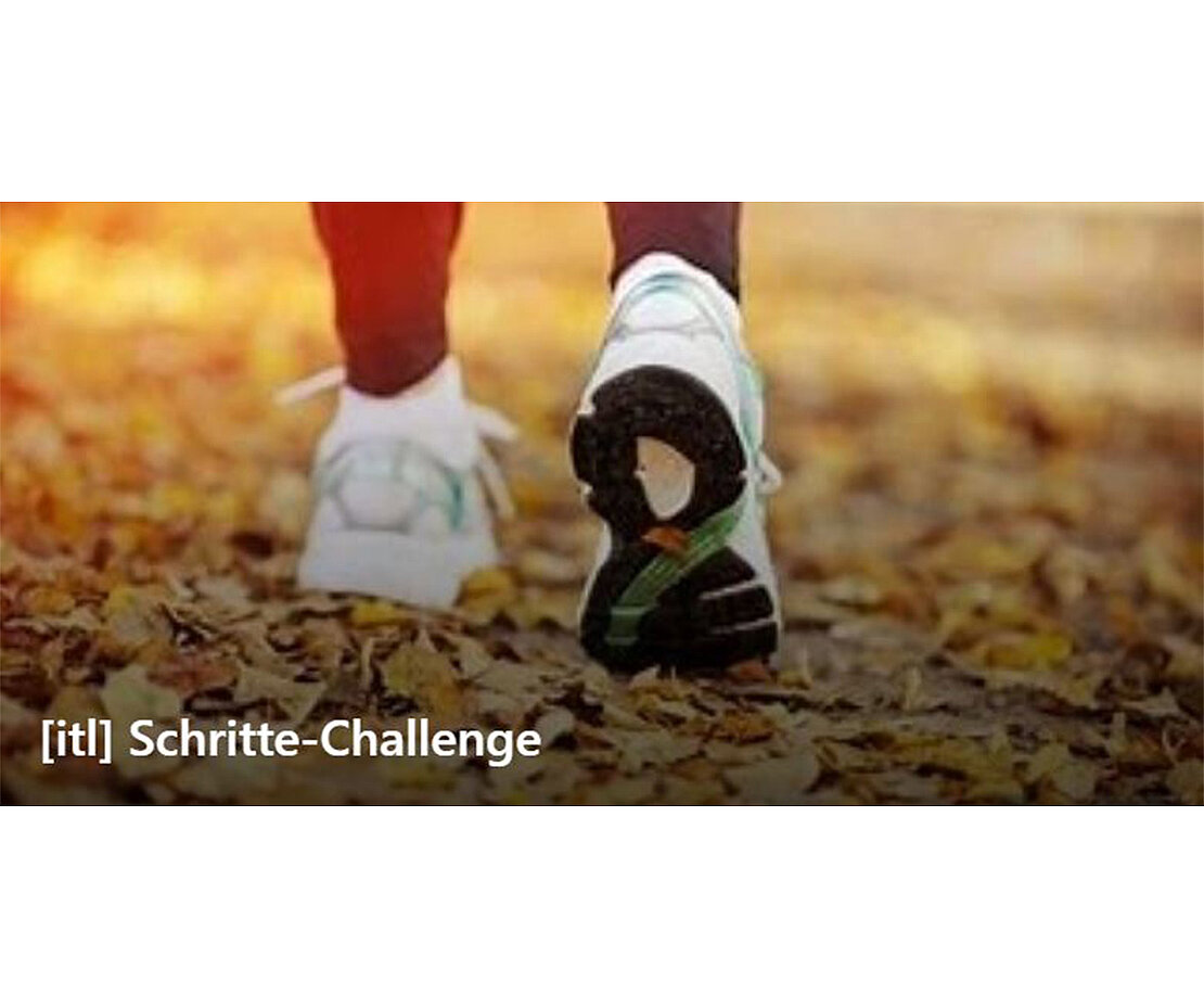 2020-schritte-challenge