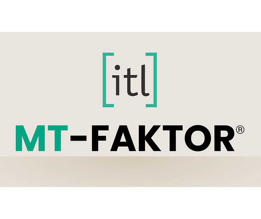 2020-mt-faktor2